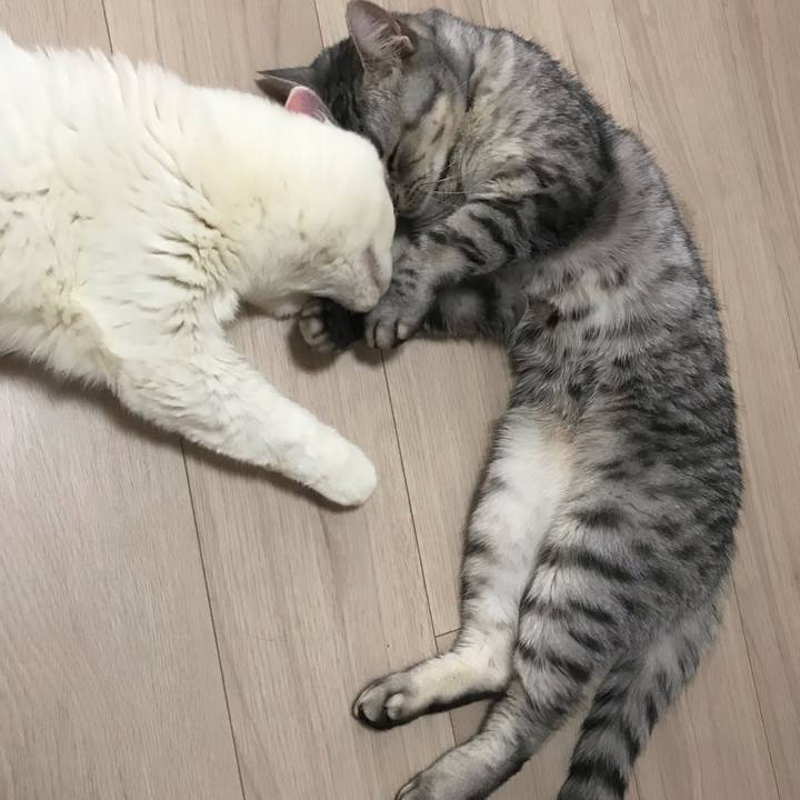 3050b724 ae26 4ab0 b0cb d69952a4dc9b 1545690938413