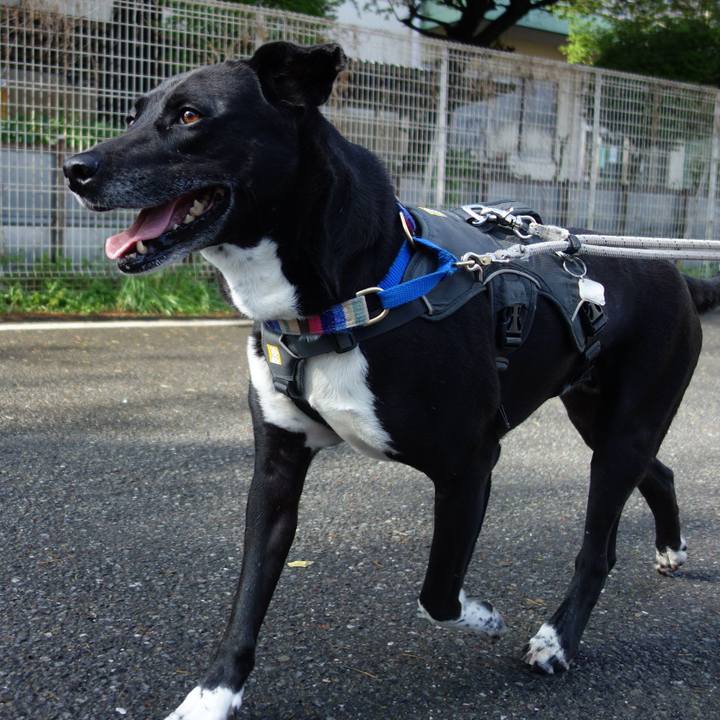 3050cfbc ef07 4983 94fc 7a99cae4bb4c 1650329512833