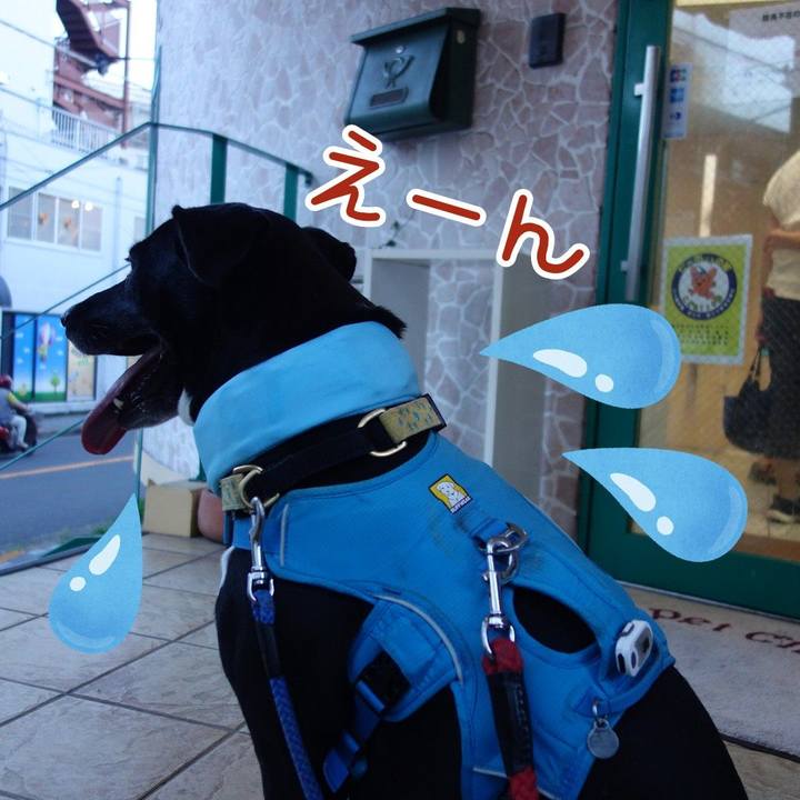 3050ebb9 e270 4adc 98d9 f4b2f75863f1 1627729974217