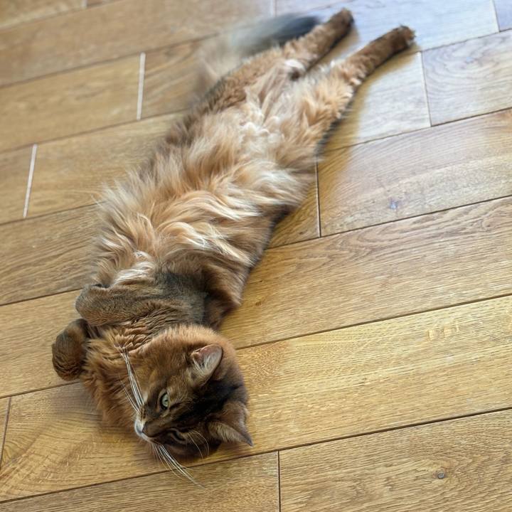 3050f52e 61a2 4e10 a002 8c8892836408 1762124813068