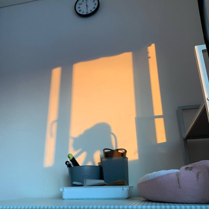 30511e1a 1915 4976 aacf bb41d83f4f5e 1710537591077