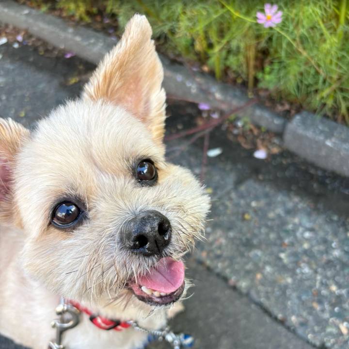 3051403a a405 43f8 9492 4a3e8548886d 1754825428568