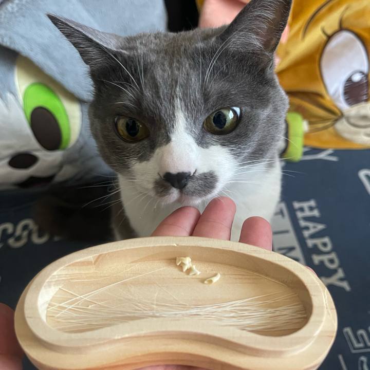 3051582d 0df9 4a6a b446 954b0e3ea854 1745451947126