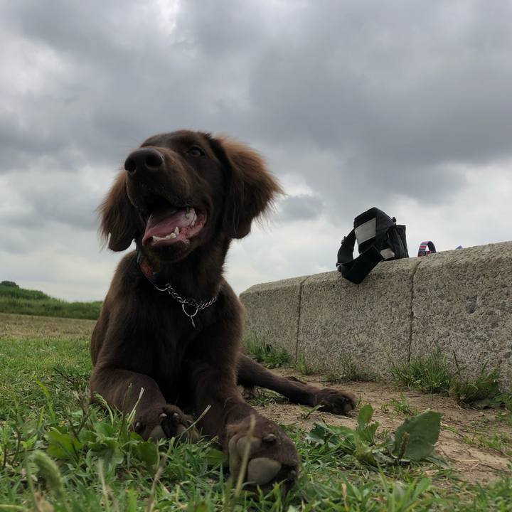 30517261 f038 4a84 97f3 20c0f7f8a222 1559696604954