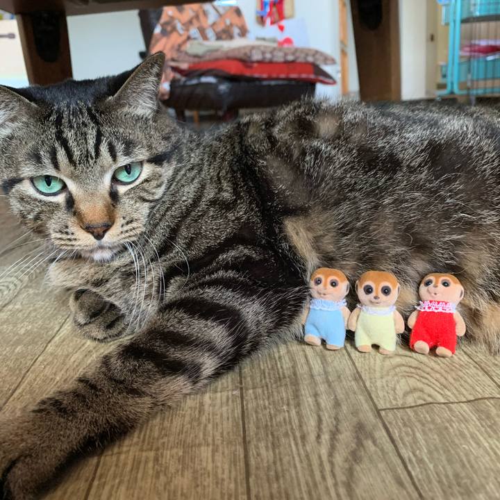 30517598 bbae 4885 b8dc 6c3cfab1494b 1603589871771