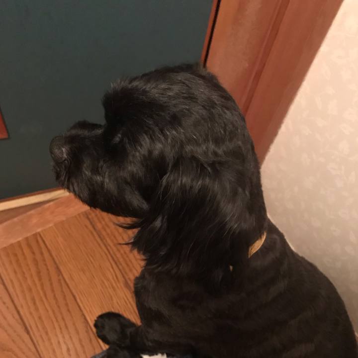 305178a3 6baa 4c63 953a 3189c95e271e 1564453543899