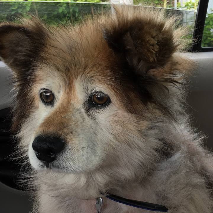 305188eb a389 4213 bb40 bf413be76b7d 1594022922501