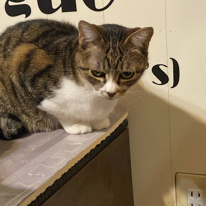 3051ad18 e082 48e7 8463 bc1ae0416b07 1617285488805