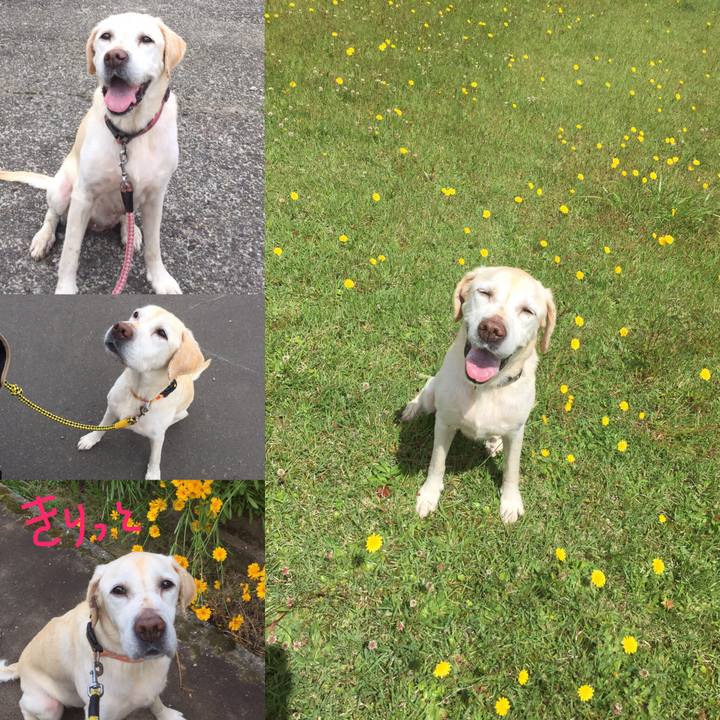 3051b9d3 c172 4d0a 95ad a095347bb79c 1549807127573