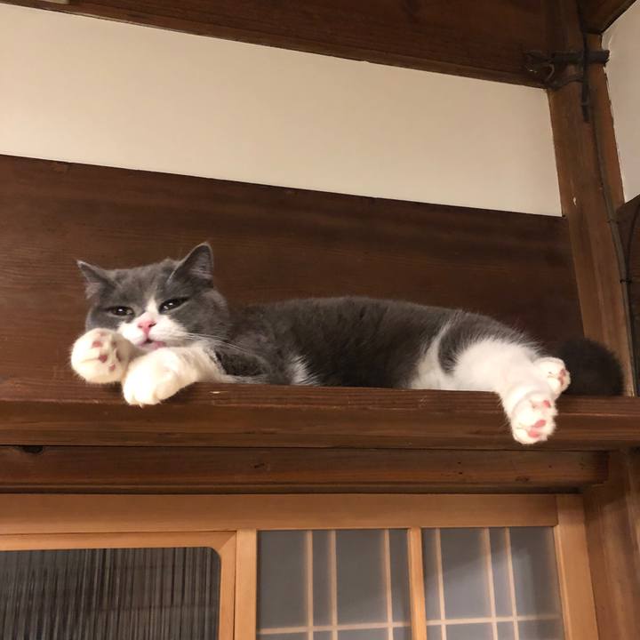 3051bd64 62ba 425e 8540 5978e5513952 1554208816709