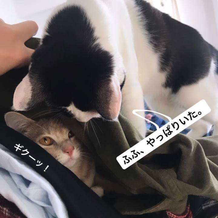 3051c251 a165 4f18 8029 3d3b4422de6a 1564330768034