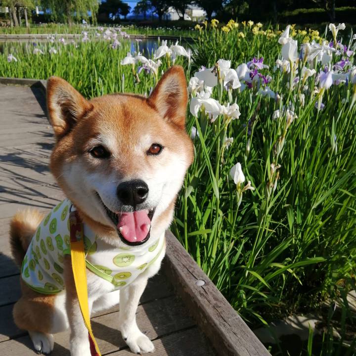 3051c78c 3307 4336 8fb9 97ecbfea5da3 1684922633095