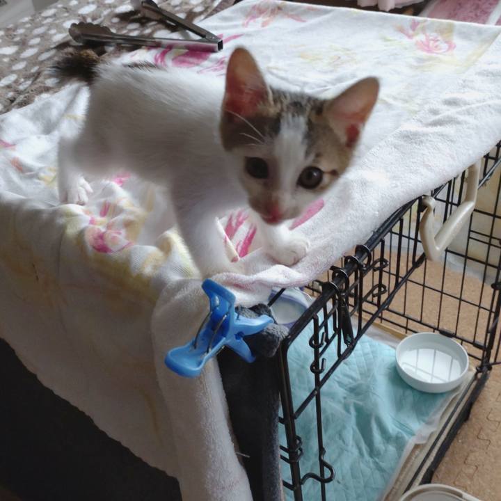 3051cfc7 1b27 42c4 9fe2 dd10a1082a45 1632744805685