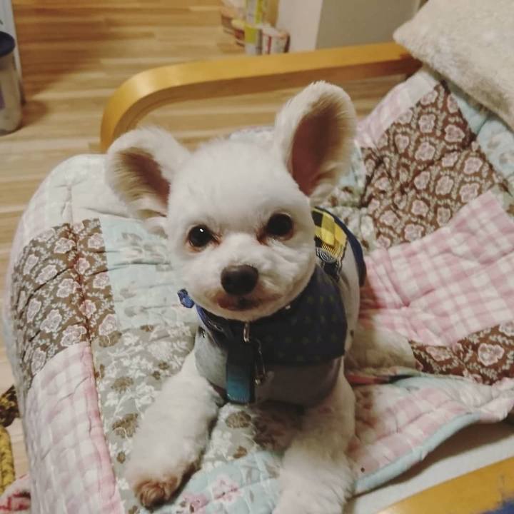 3051d24f 52c5 475e 9108 130acfdc597a 1521796599107