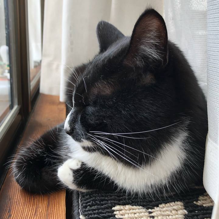 3051e1cf af6a 44d7 9b3b 28fd4cee1104 1553335699267