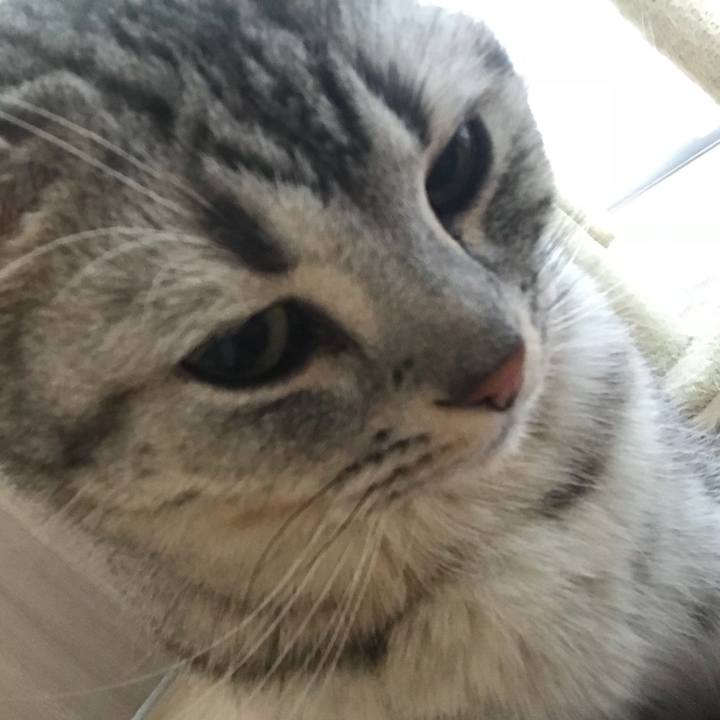 30521cfc 685c 4e8a bc10 f2153279f23b 1516490186062