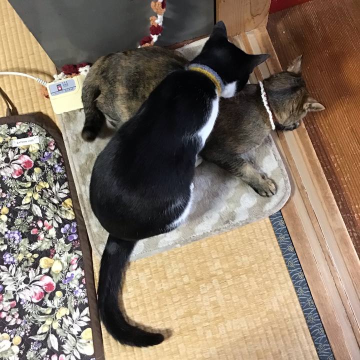 30522c98 8c9f 4107 a05f c121fde2f0f3 1649975019261