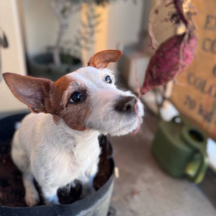 30523a77 4e10 40d5 9832 7593747c195c 1764758131188