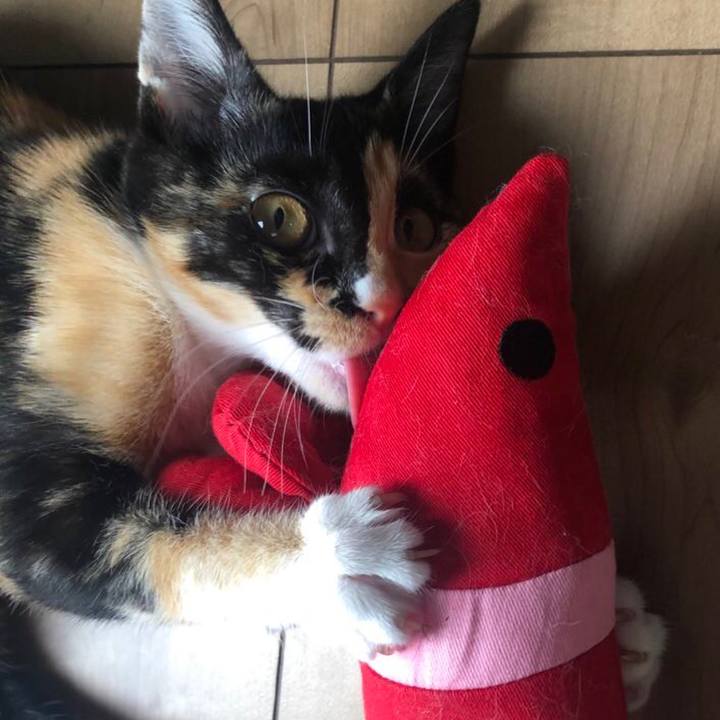 3052589b 245b 4e79 ae52 27d9a3a15a60 1642672313160