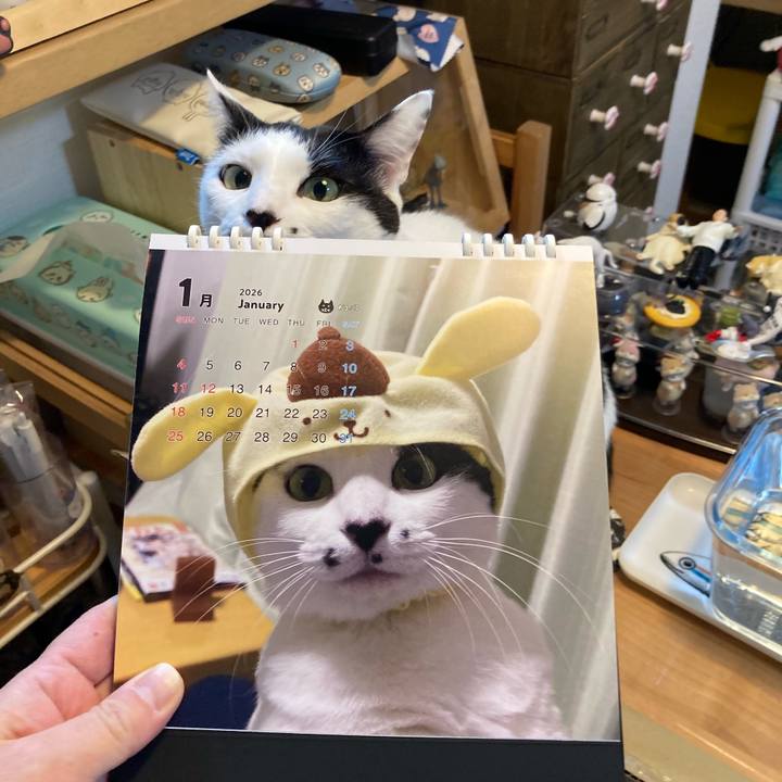 3052c90e 4d3b 423c b8bf 8b517fa45df0 1765628920228