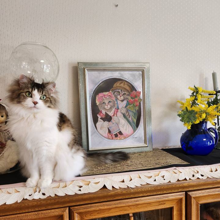 3052d03b 5ed4 4317 ae30 6f5c99652f36 1742604200103