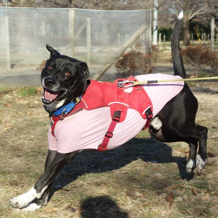 3052e4ef 6dd6 4c57 9132 5c11916a59e0 1676510097140