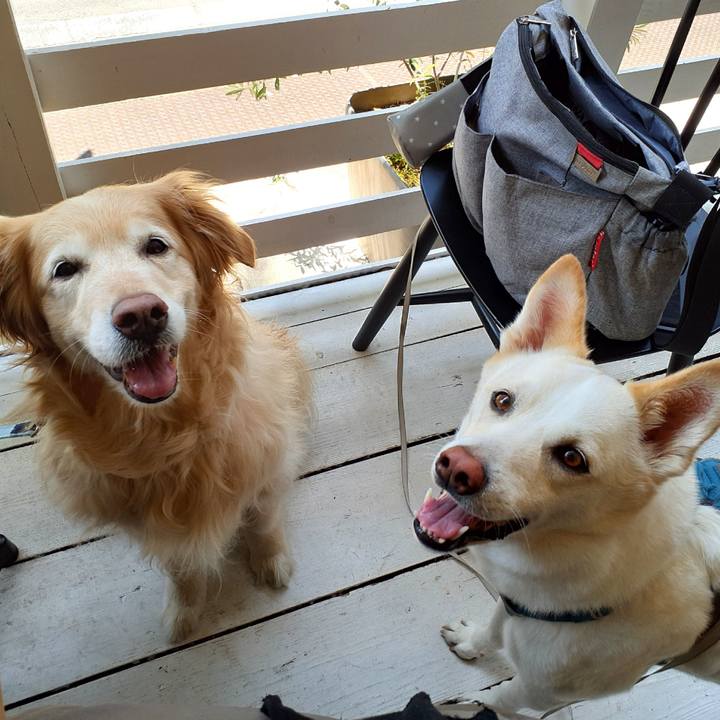 3052e6da 039f 41fd ad07 c513bb2f2197 1651645443600