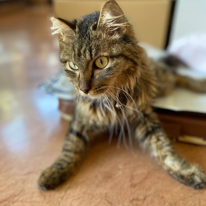 305314e4 1f54 48ff a665 763e58336237 1659515306154