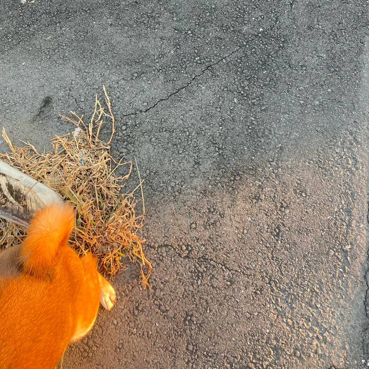 30535eb3 6742 4a85 8d5e 6e3bcf6a33c5 1641628634254