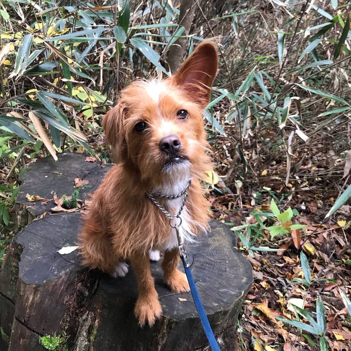 30536dcc 02e9 4737 a083 7d9ce8d6ed9f 1541920236746