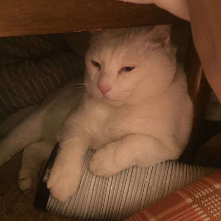 30536f0f 057e 4455 8fec b0b01fc019ee 1579441415188