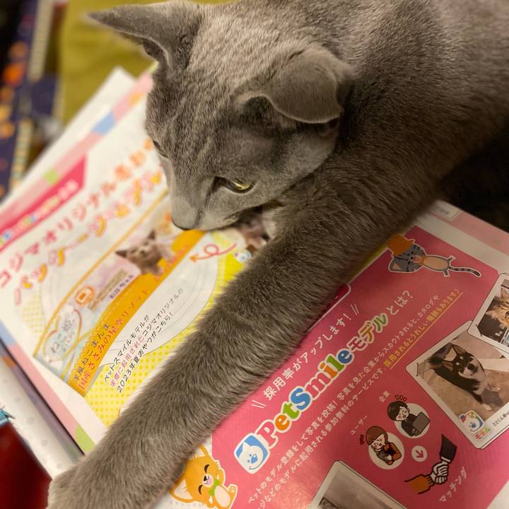 30538627 8c0d 429c b3f3 8bac7fa1c901 1683201629118