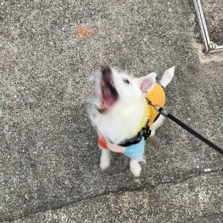 3053b506 0b82 4ee7 964b cd78b8a47e4d 1674547544398