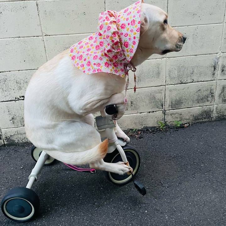 3053e479 d636 4ec8 a5e0 e738d407f799 1654771957499