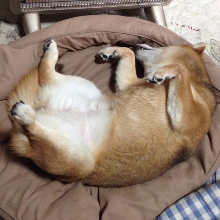 3053ed97 4a41 43b3 b97f 4615f2d359e0 1519548546362