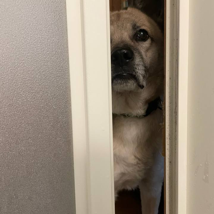 30545e17 ce26 43fd 9c1e f2b2a96c21c6 1705406862518