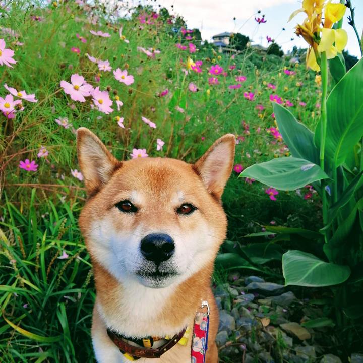 30546636 3f2b 466d 8d92 2f3c557d9a07 1603261304104