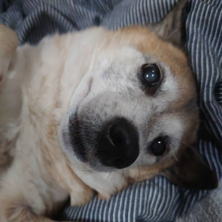 305478fd 9380 496d 911c db014cfabd3a 1680007972379