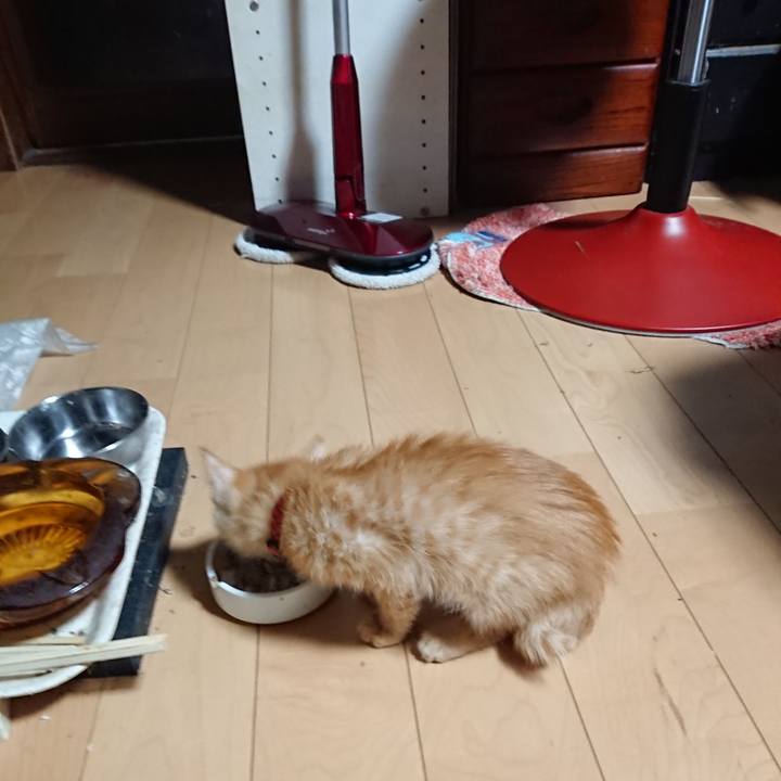 3054c95e 912b 44fd 8af5 9c471178e09e 1629058292204