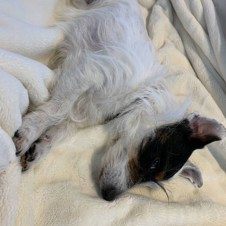 305519d2 24fe 4f1f ab99 0299fcef038b 1585549828013