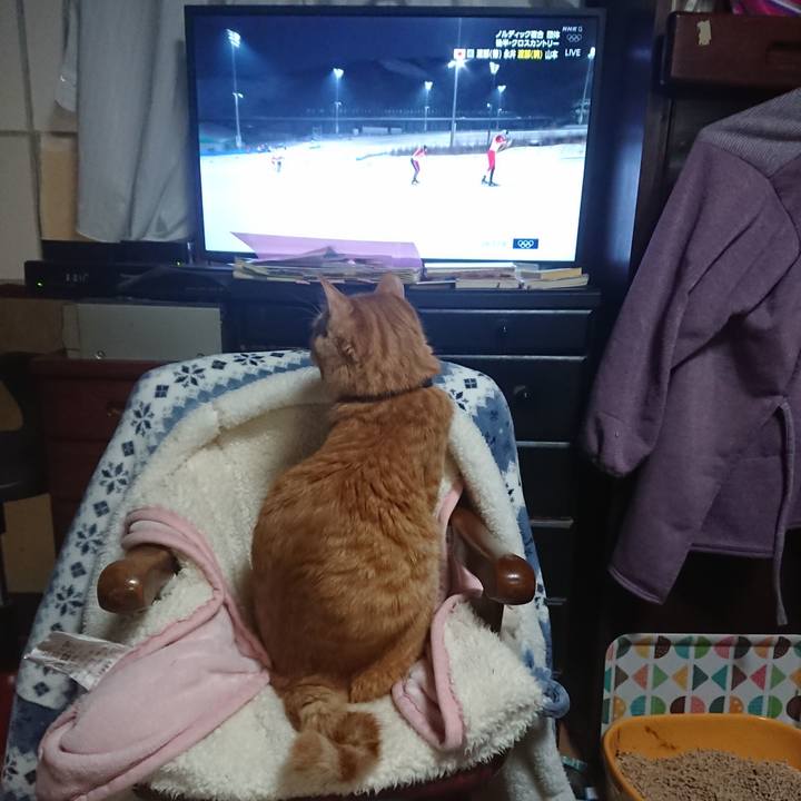 30551fb1 52d2 46ee 9b92 f9e39de5ba6f 1645098872874