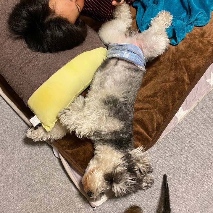 305537d7 17e2 4b8b bb83 91fb86751139 1588353815245