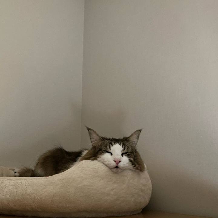 305552f3 5d75 424c beee 4c1327546340 1702128157460