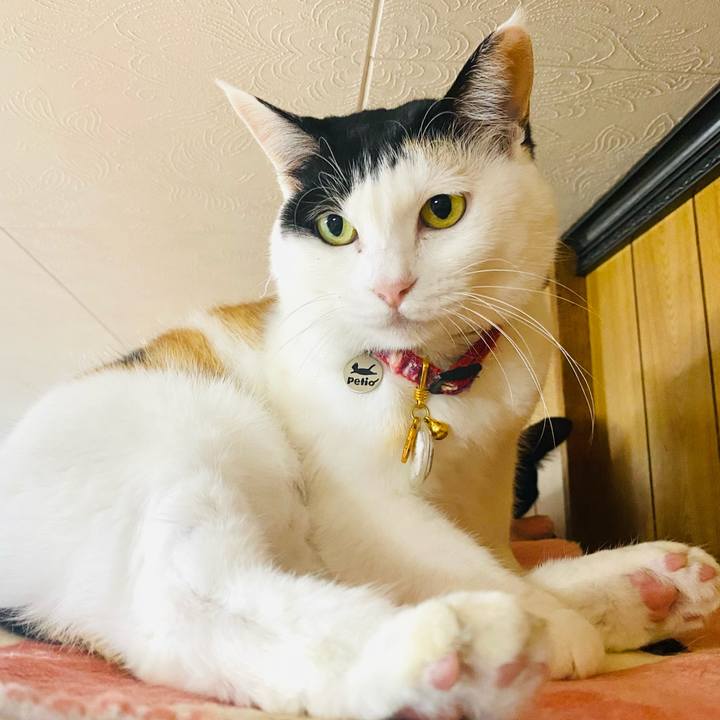 305571cc 343c 492c a546 d18ad661a554 1708263314177