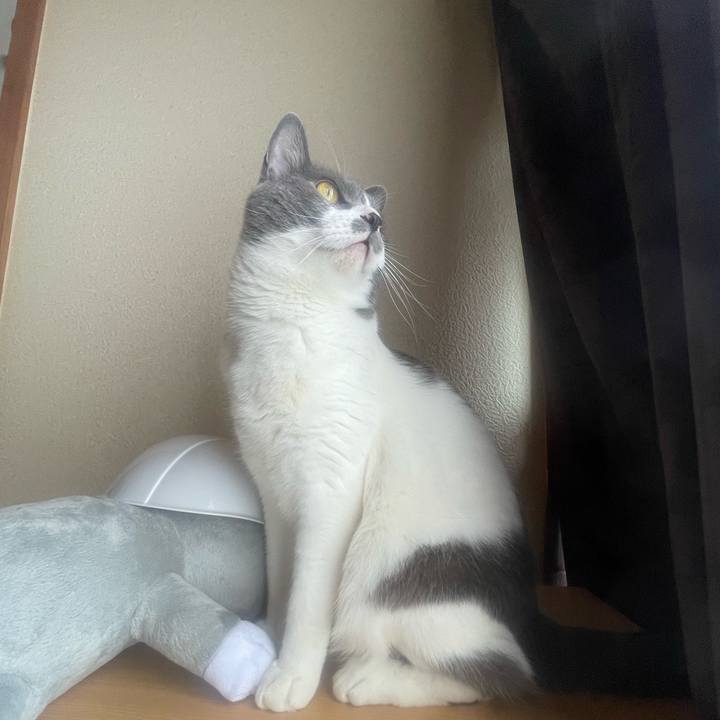 3055b3c5 6122 4b96 8b46 48c4ecfe48de 1682741949338