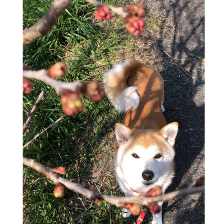 3055b8bb f010 44ad 8051 b22f2599dcd8 1646874713053