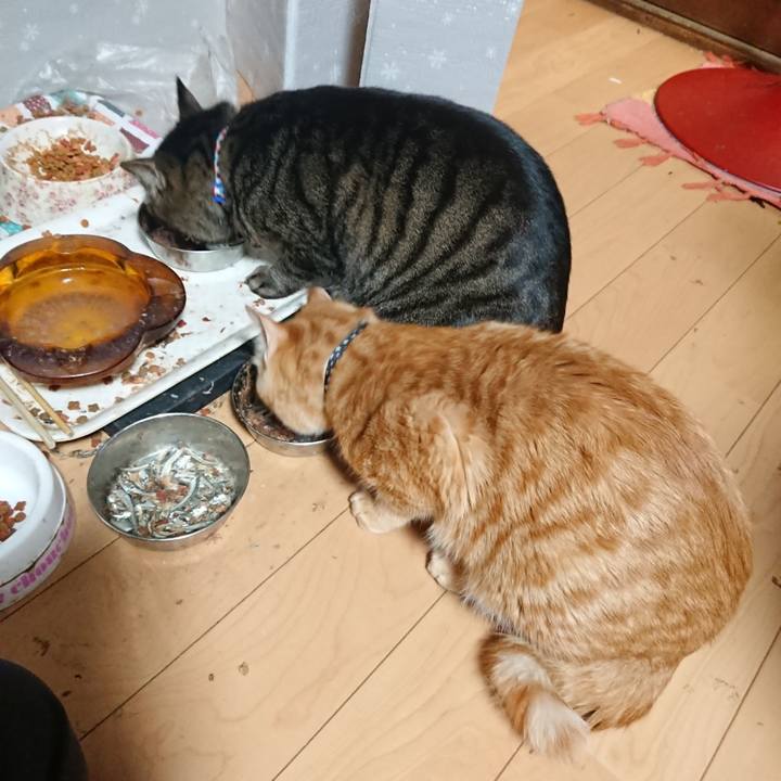 3055efa6 4fbf 458e b7a3 7c7922c7dfe5 1641549314422