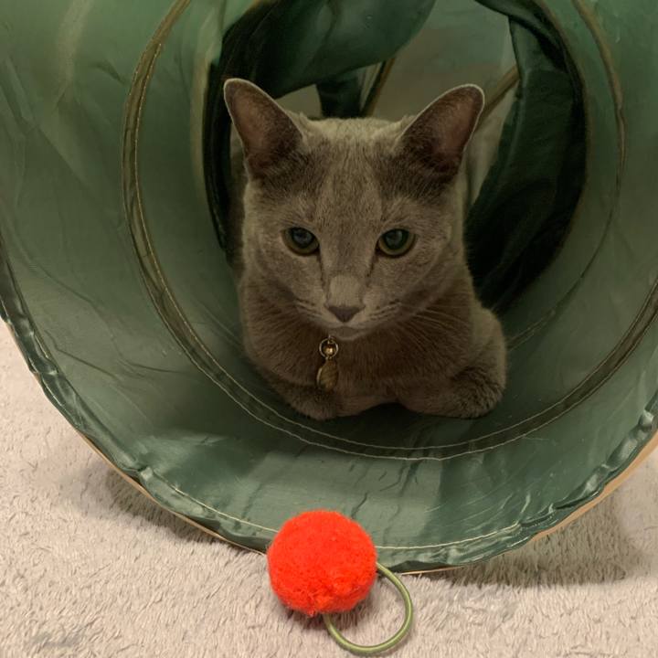 3055f1fc 6fa6 4274 8840 4325fe672f97 1660829013402