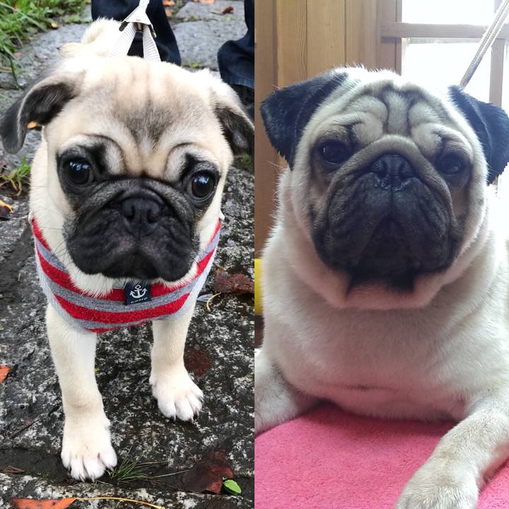 30560843 d54f 4052 9e13 a0a8d0add114 1537149117280