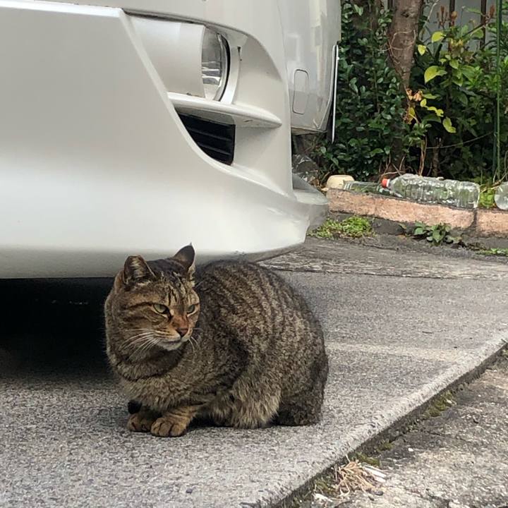 30562038 2de8 460f 9d18 d9ce4a24e0b7 1584631003260